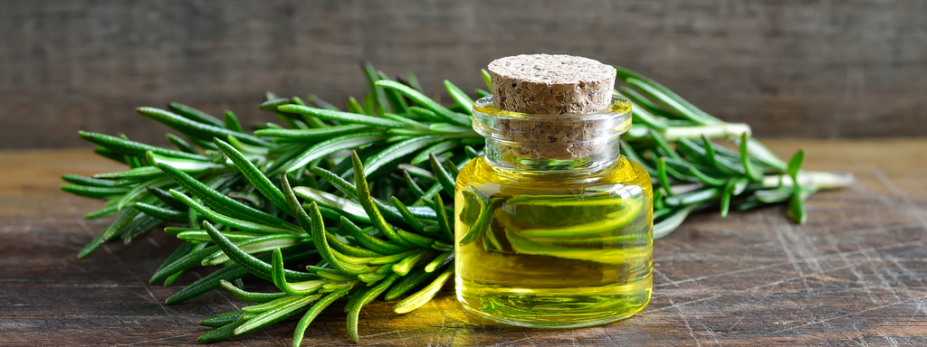 What is Rosemary Essential Oil Used For? Unlocking Its Potent Beauty Secrets