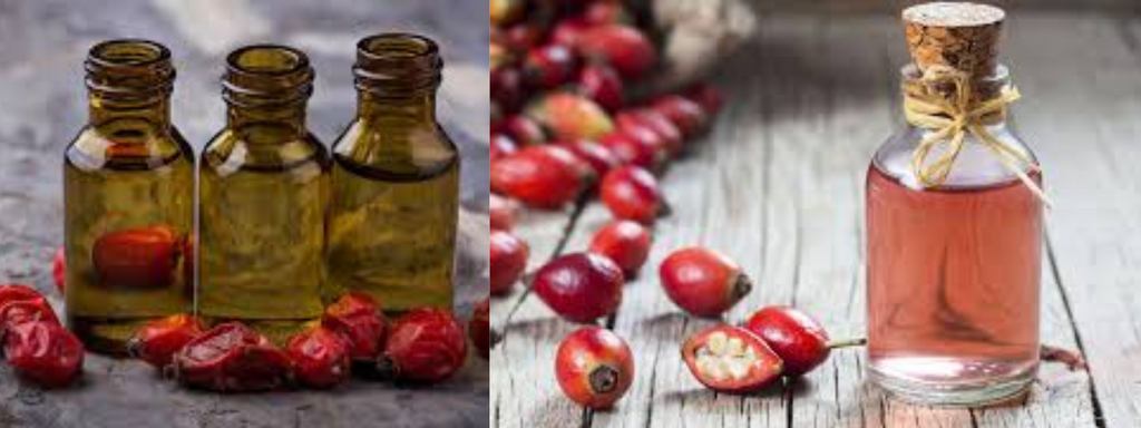What Is Rosehip Oil Good For? Unlocking Nature's Skincare Secret at Zarbeautyworld