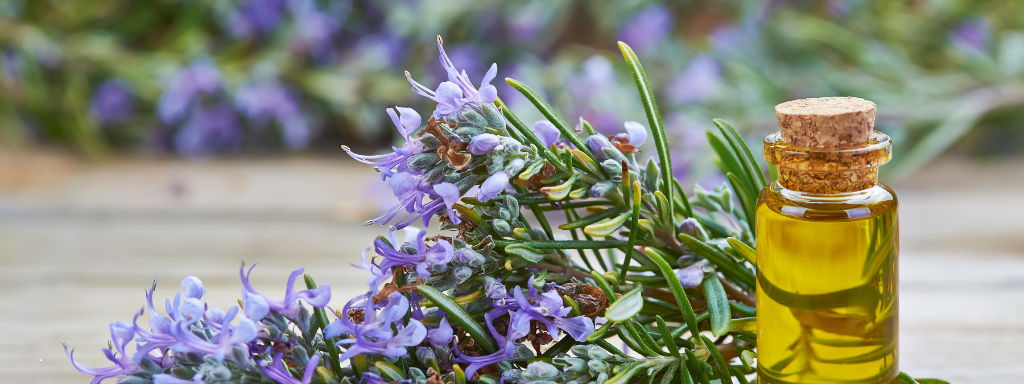 Essential Oils: Nature’s Secret to Healthy Hair, Glowing Skin & Total Wellness