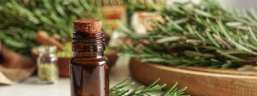 Rosemary Oil for Hair & Skin: Benefits, Uses & More