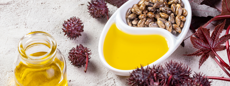 Castor Oil vs. Rosemary Oil: The Ultimate Duo for Hair Growth and Scalp Care