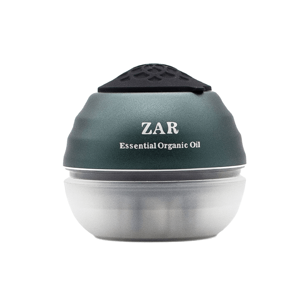 Scalp Massager Comb-Zar
Beauty World